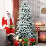 Christmas tree pallets